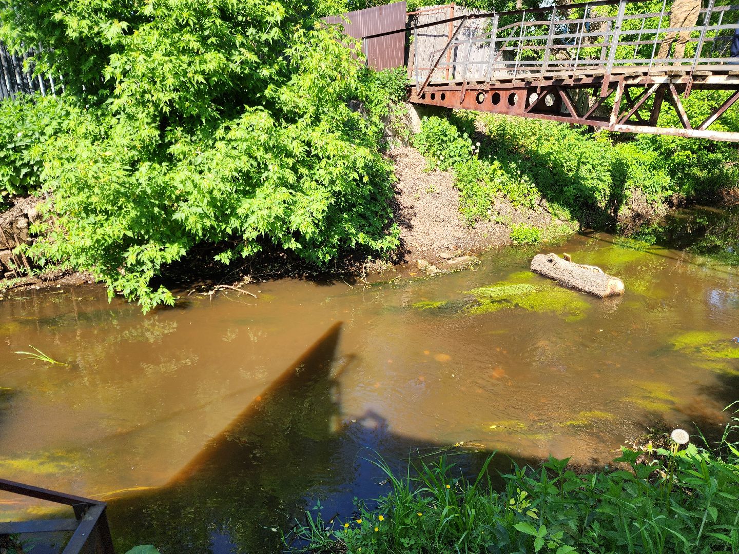 Ногинск, богородский городский округ, Общество, Жители, подтопление, Снт,