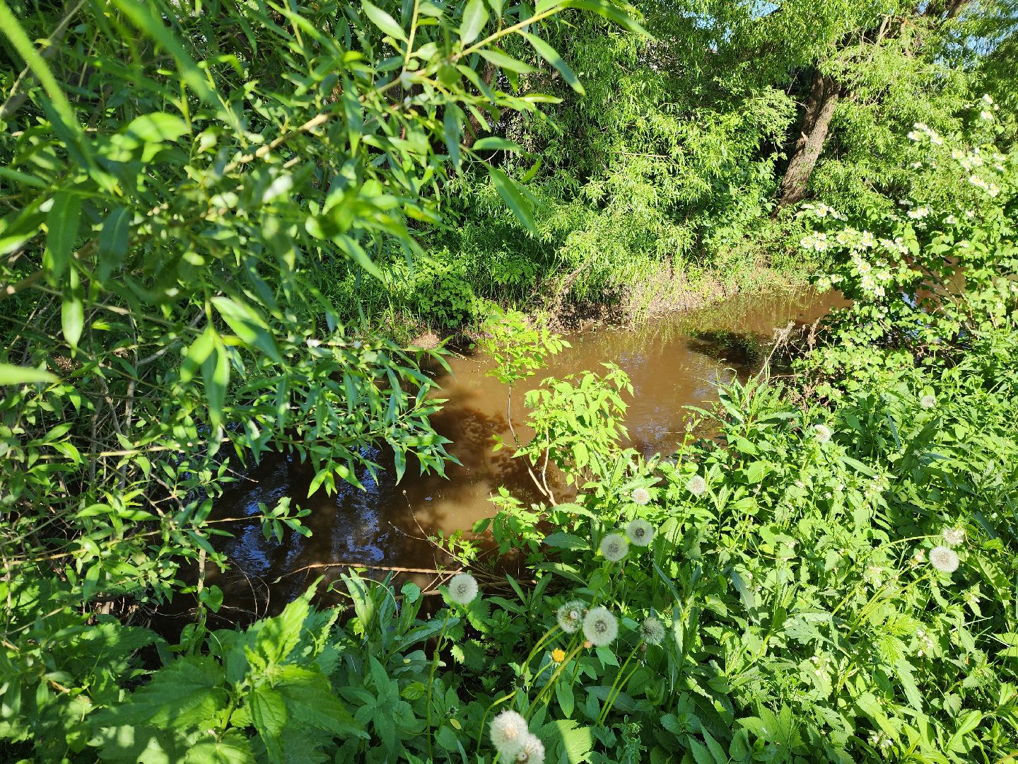 Ногинск, богородский городский округ, Общество, Жители, подтопление, Снт,