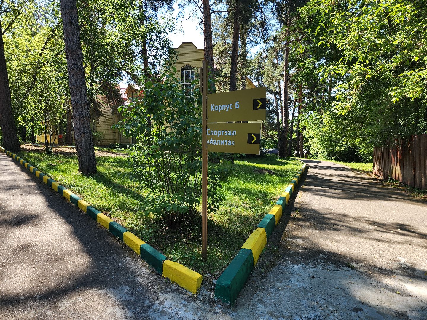 лужки, серпухов, красная гвоздика, летний лагерь, дети,