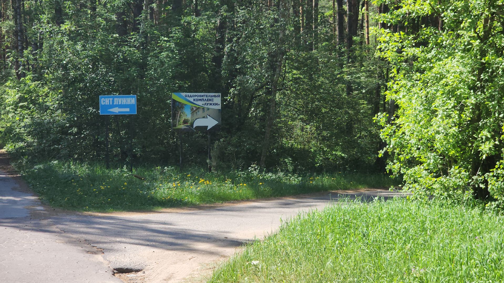 лужки, серпухов, красная гвоздика, летний лагерь, дети,