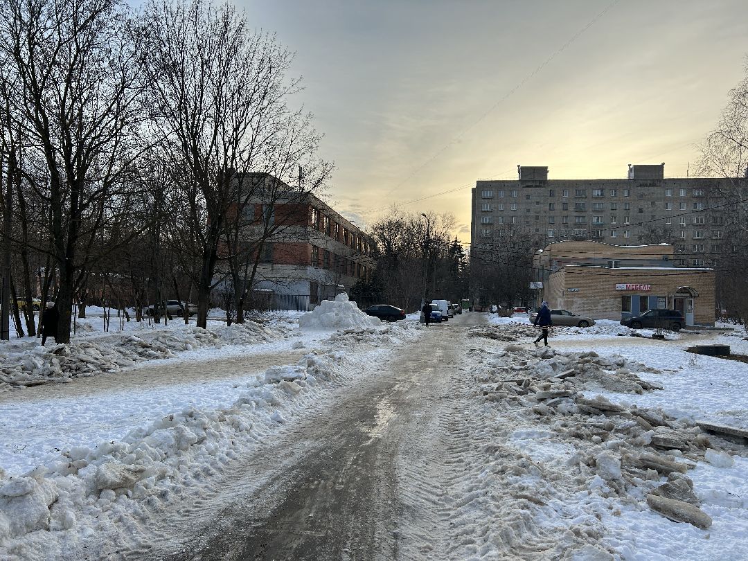 Фрязино, общество