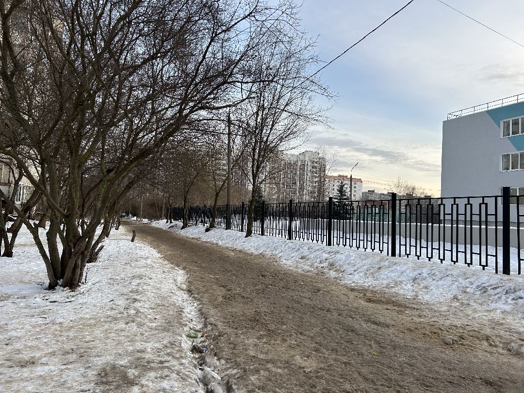 Фрязино, общество