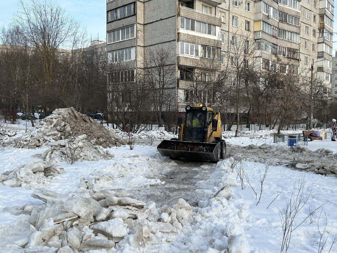 Фрязино, общество