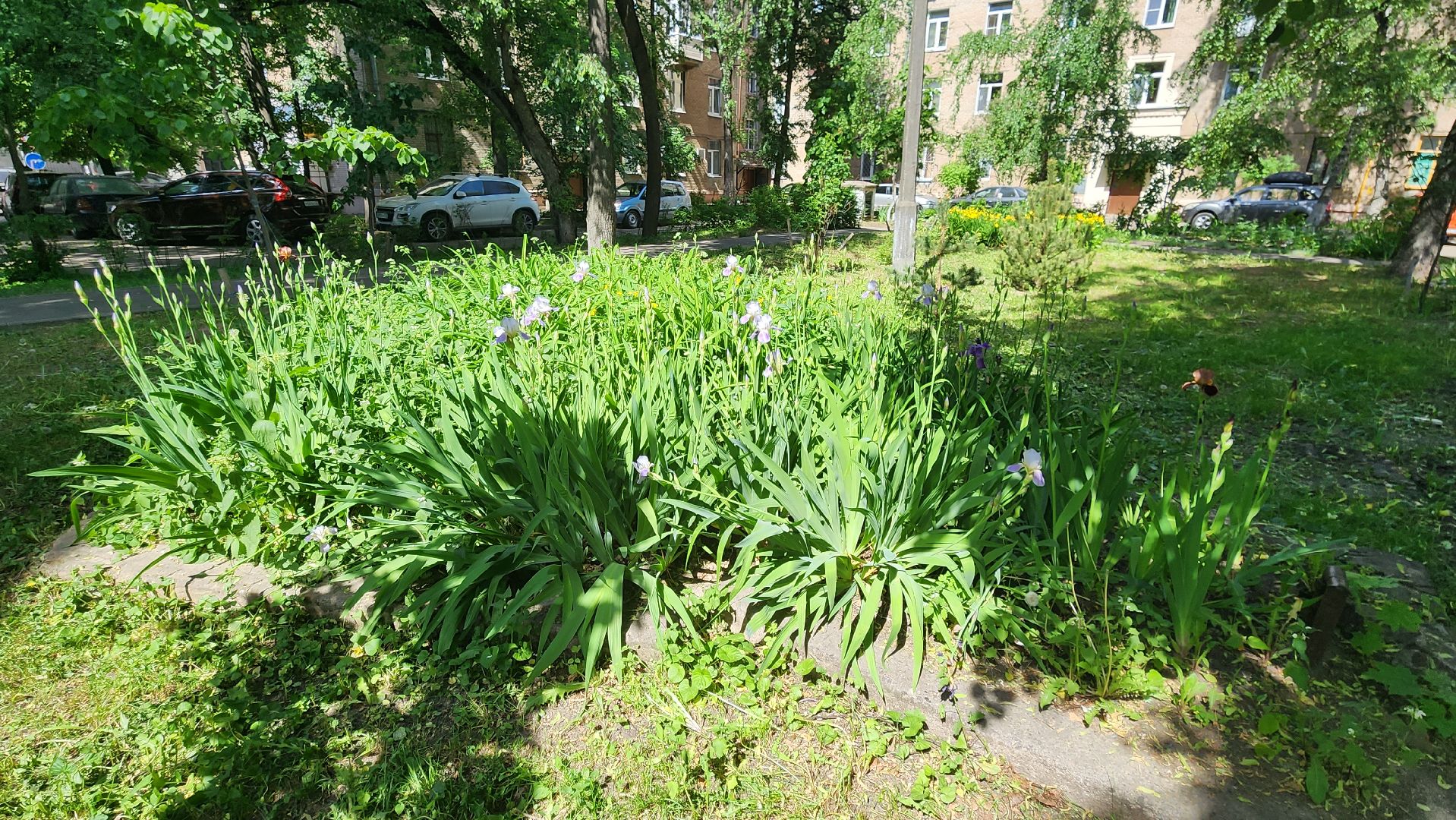 Город-сад, творческий конкурс, Ольга Пушкарева, ВООПИК, Союз садоводов России, награждение,