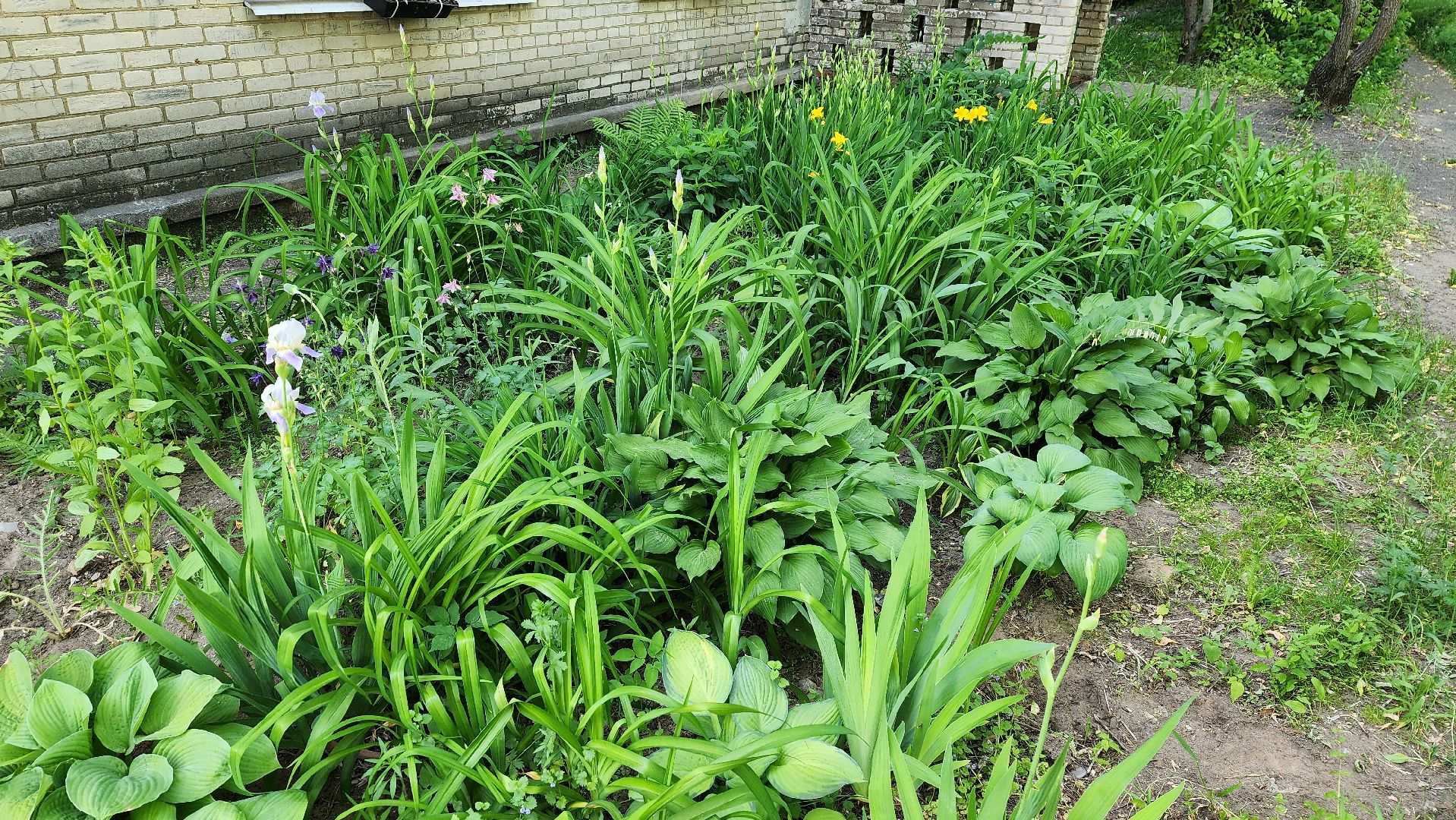 Город-сад, творческий конкурс, Ольга Пушкарева, ВООПИК, Союз садоводов России, награждение,