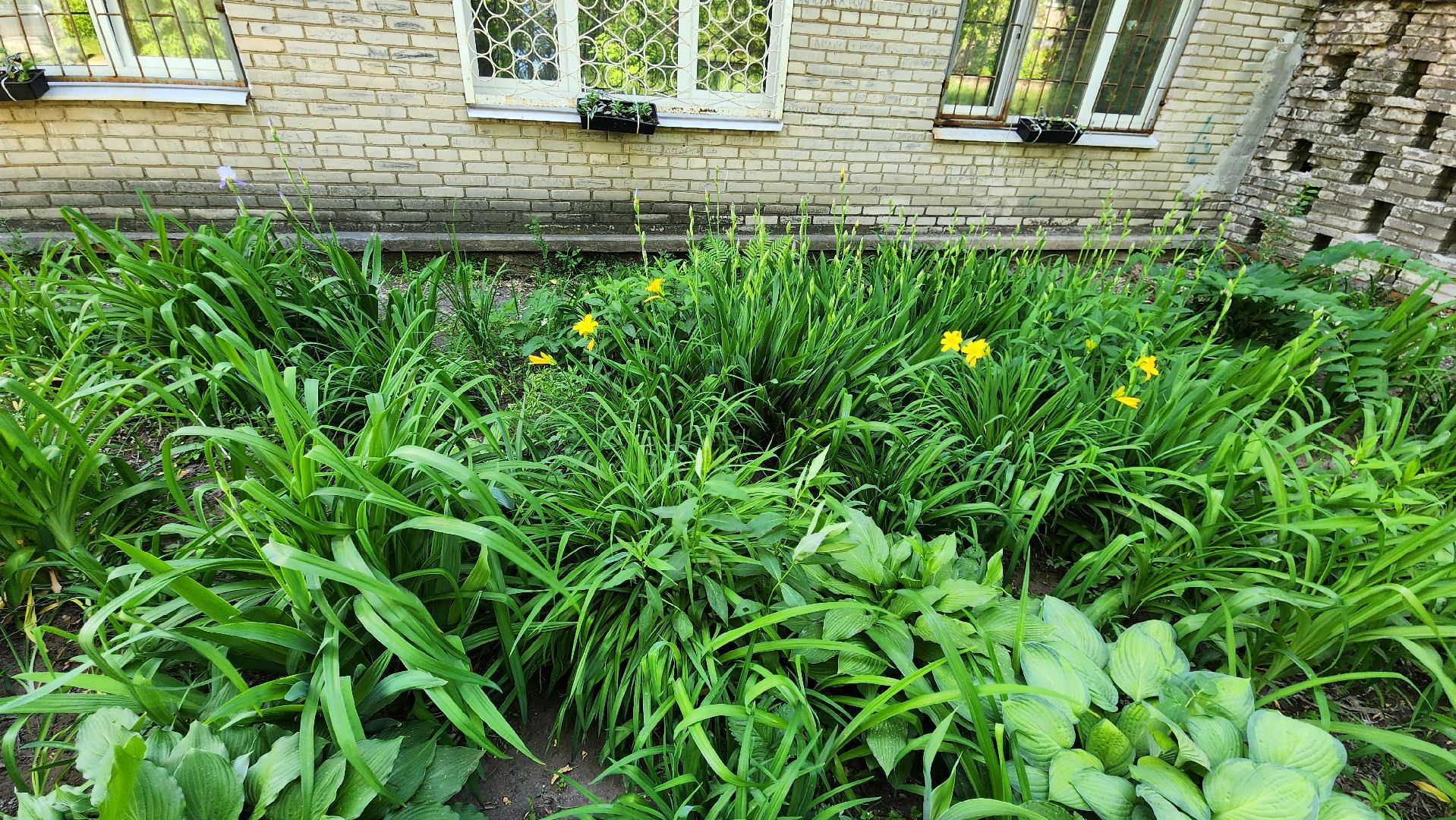Город-сад, творческий конкурс, Ольга Пушкарева, ВООПИК, Союз садоводов России, награждение,