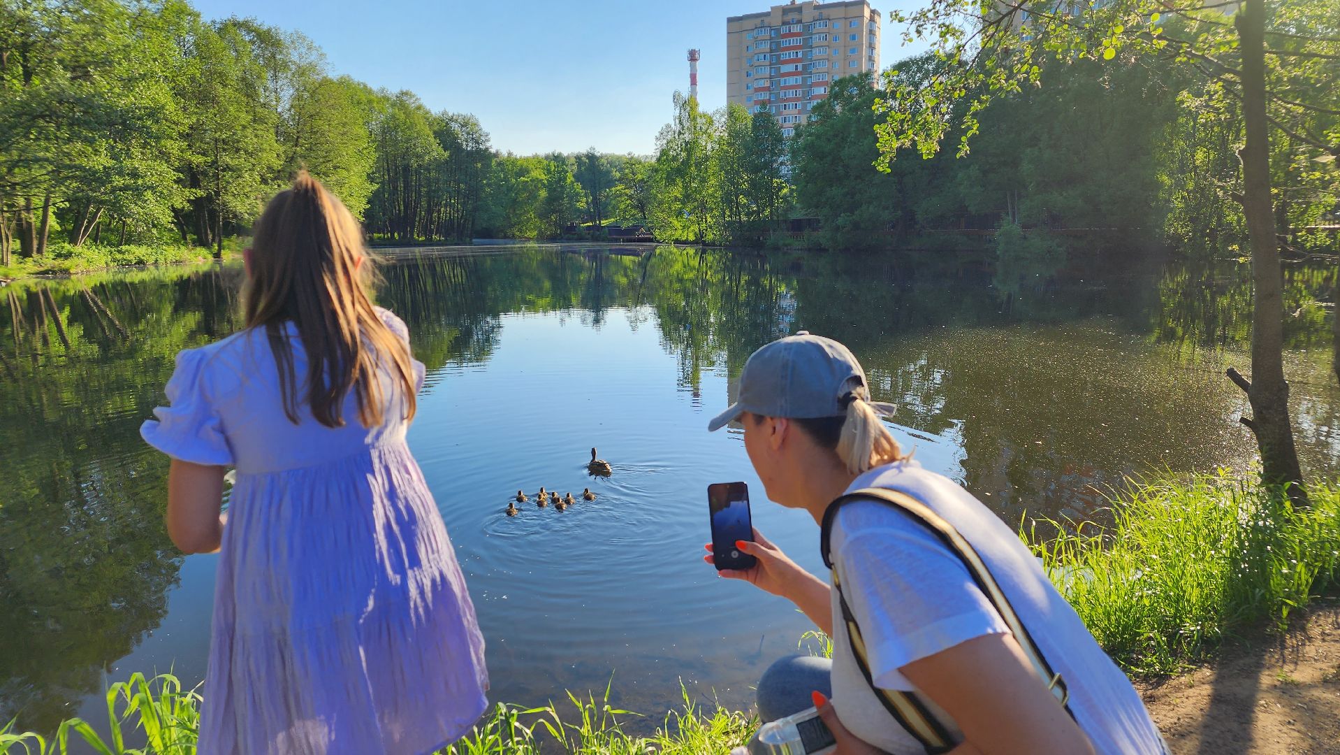 парки подмосковья, Лосино-Петровский, животные, птицы,