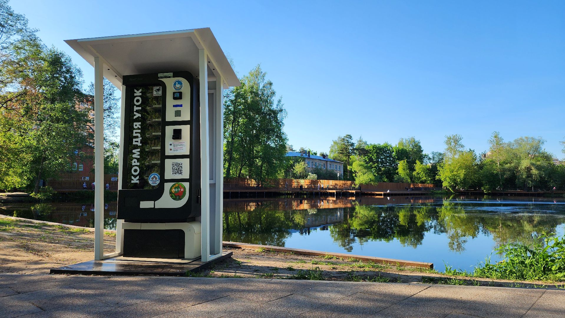 парки подмосковья, Лосино-Петровский, животные, птицы,