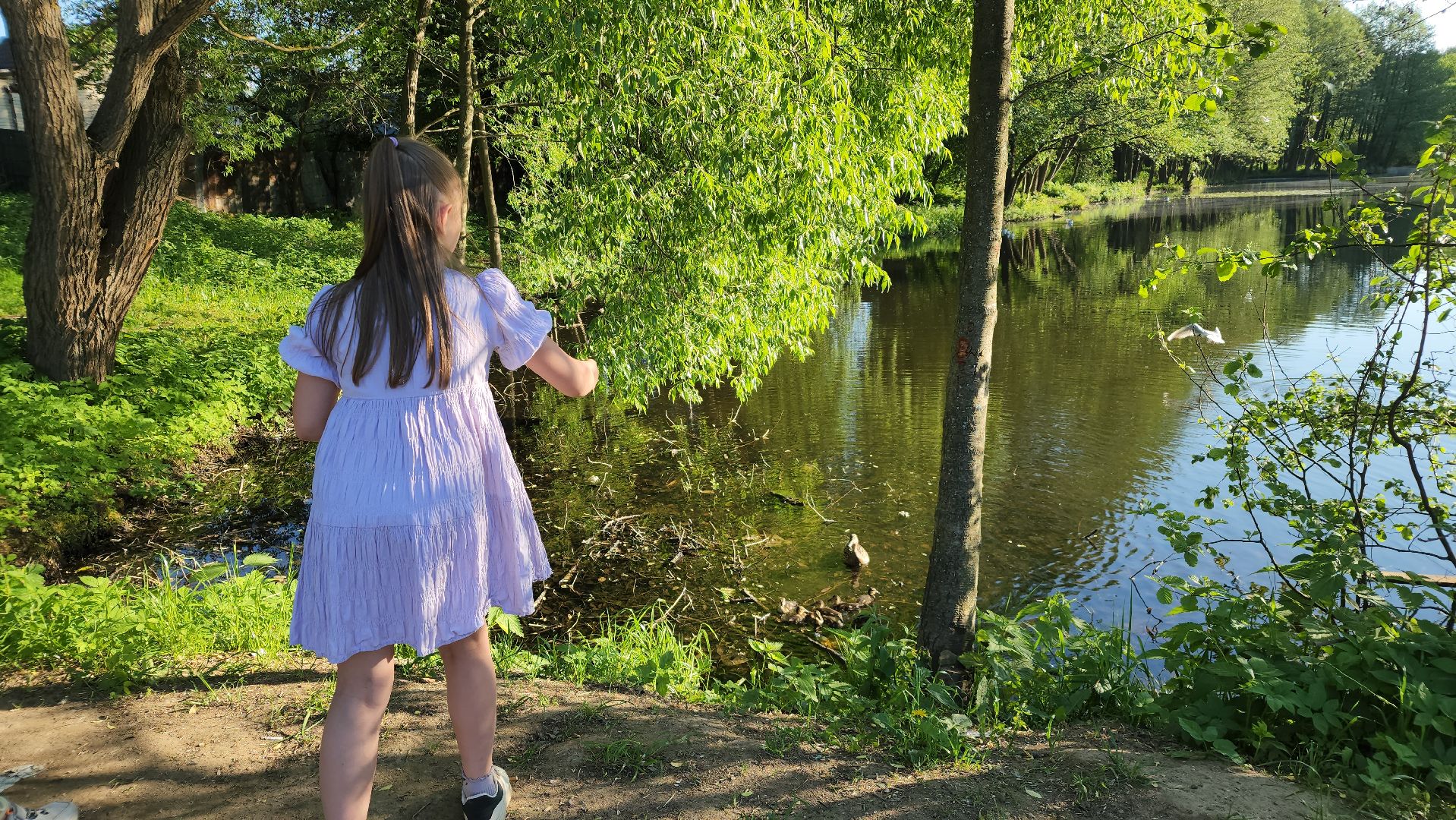 парки подмосковья, Лосино-Петровский, животные, птицы,