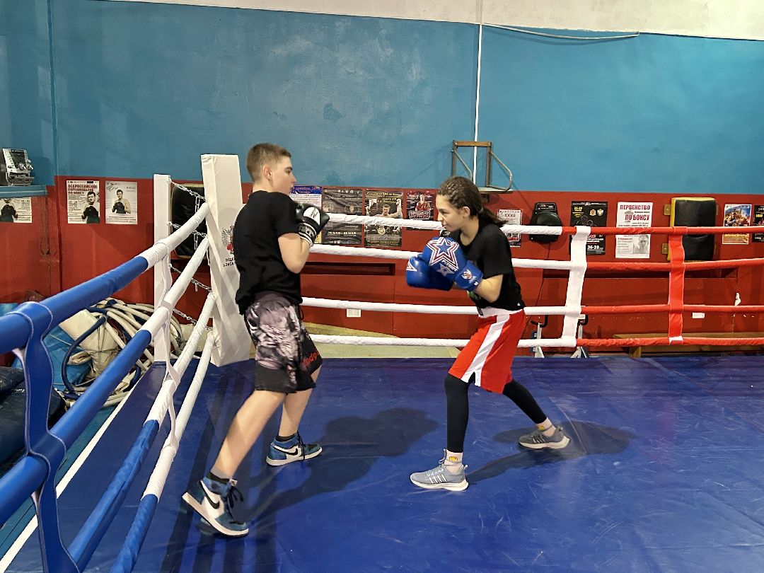 Фрязино, спорт