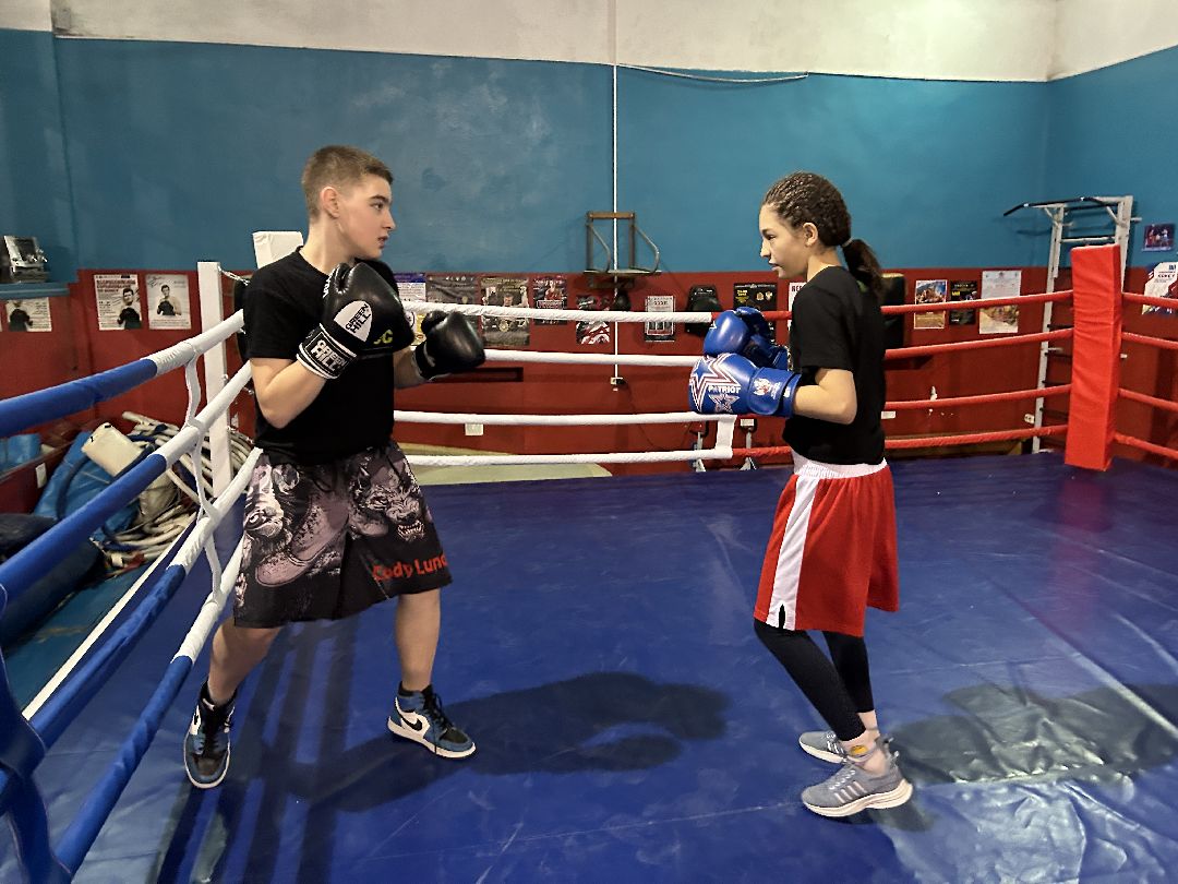 Фрязино, спорт