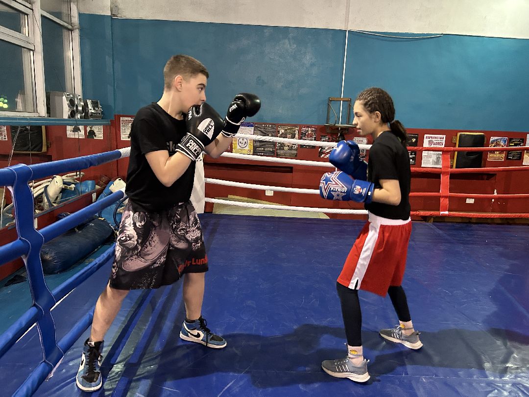 Фрязино, спорт