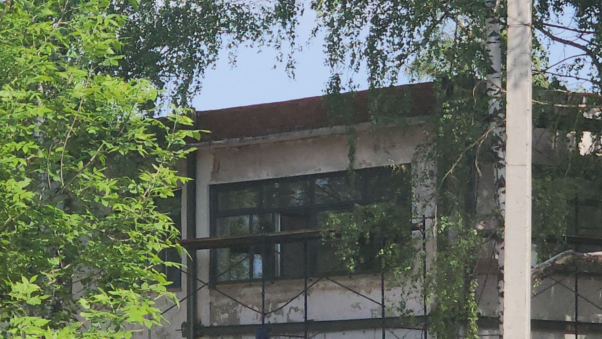 Павловский Посад, Городской округ Павловский Посад, Люди, Жители, Детский сад, Ремонт,