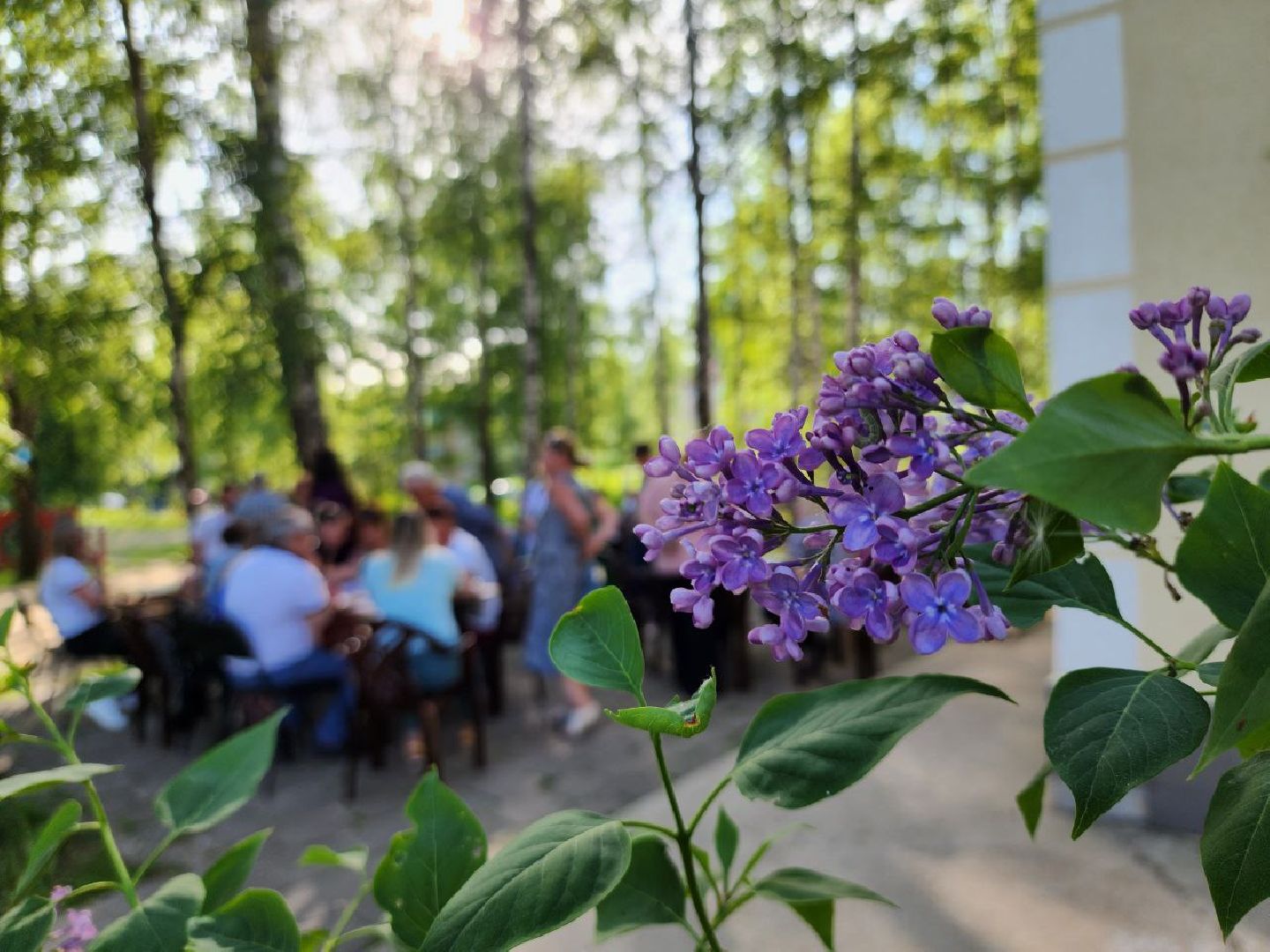 можайск, можайский городской округ, подмосковье, выездная администрация, власть, глава округа, встреча с жителями, обращения граждан,