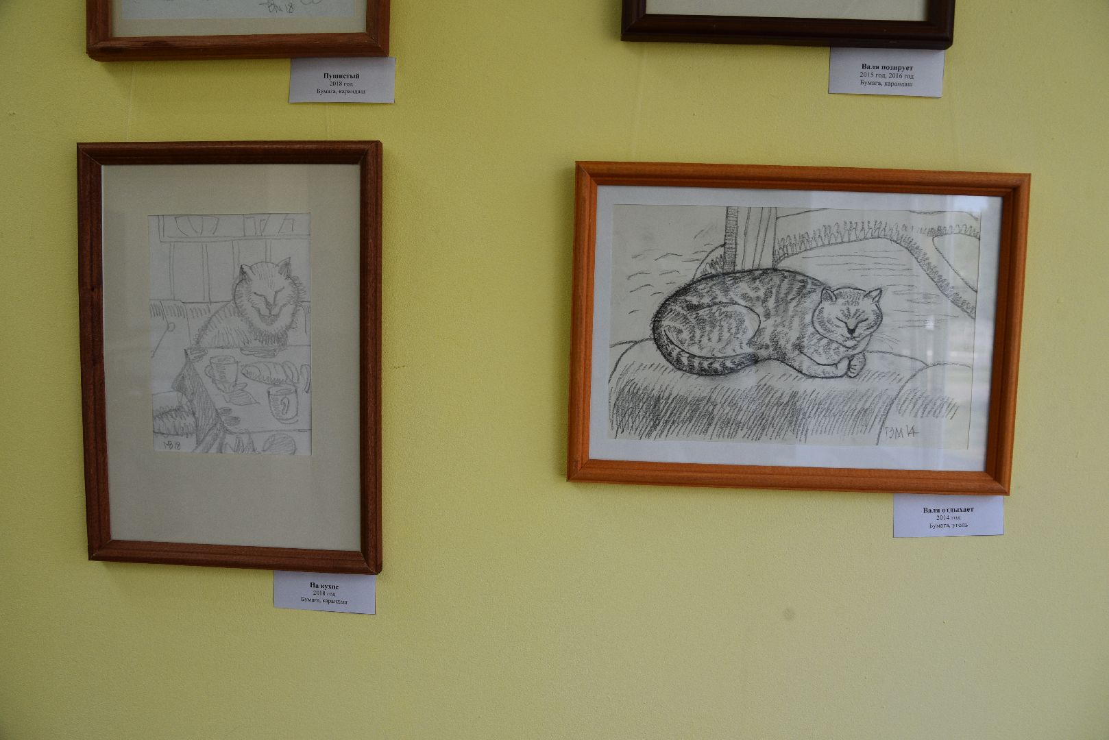 лотошино, лотошинская библиотека, выставка картин, культура,