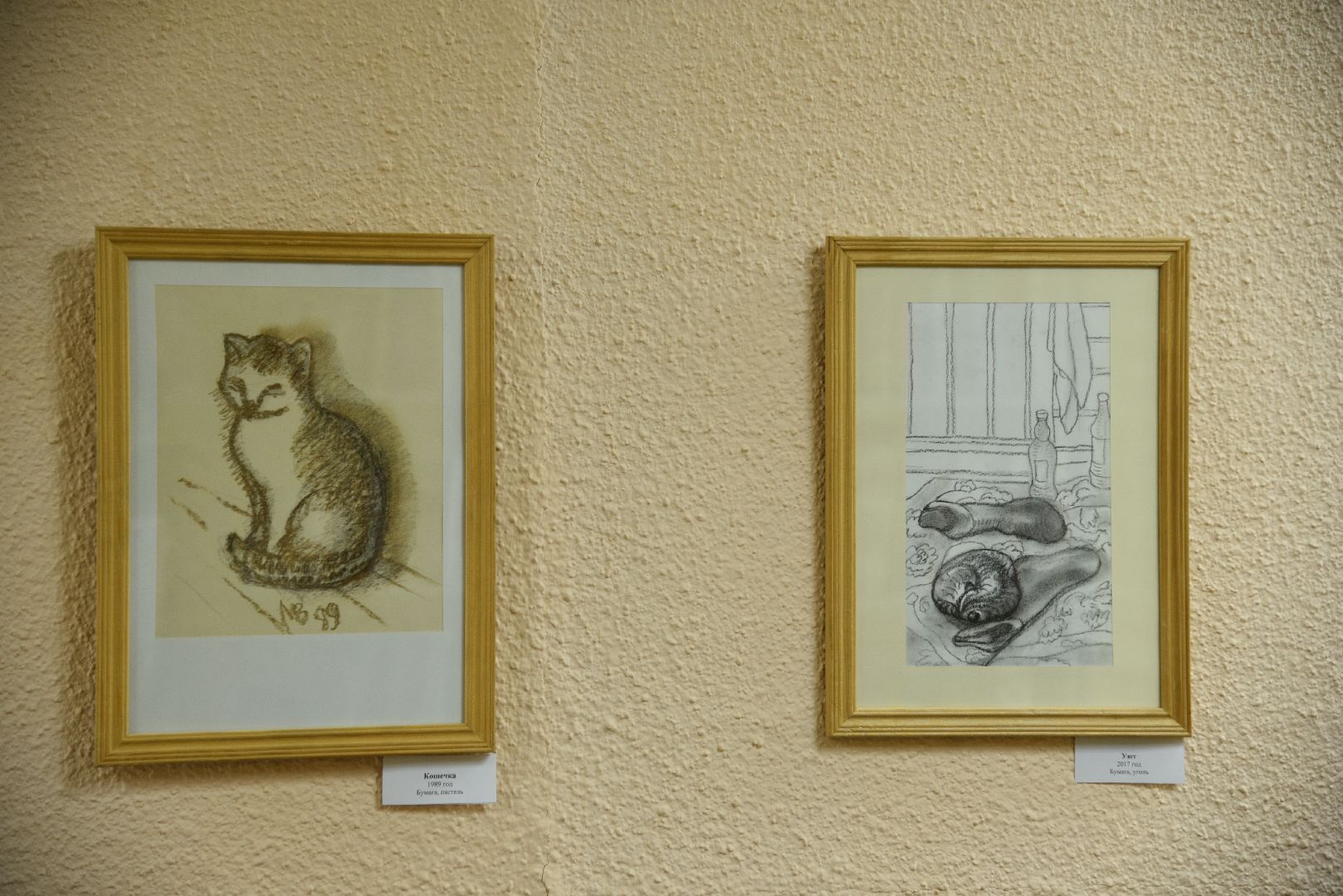 лотошино, лотошинская библиотека, выставка картин, культура,