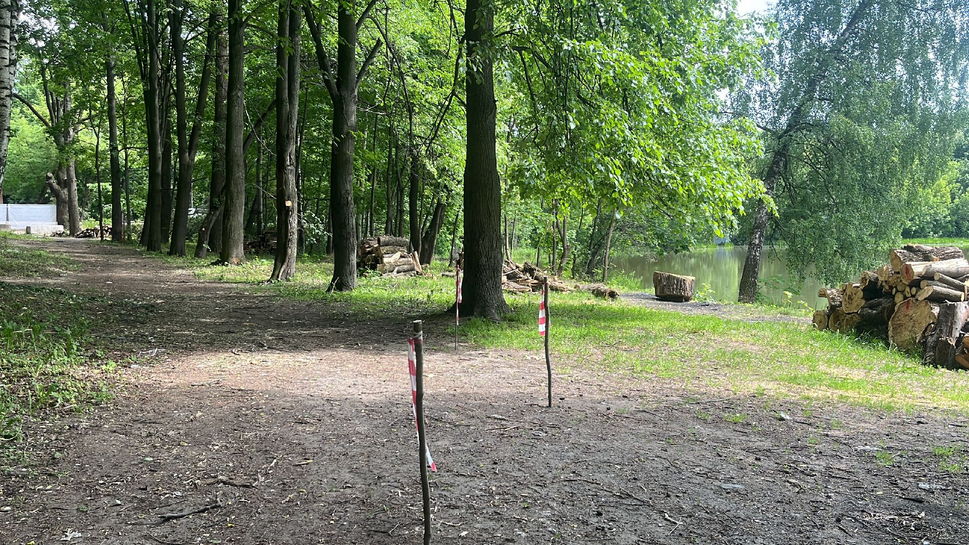 благоустройство, пруд, набережная, лесопарк, кучинский лесопарк,