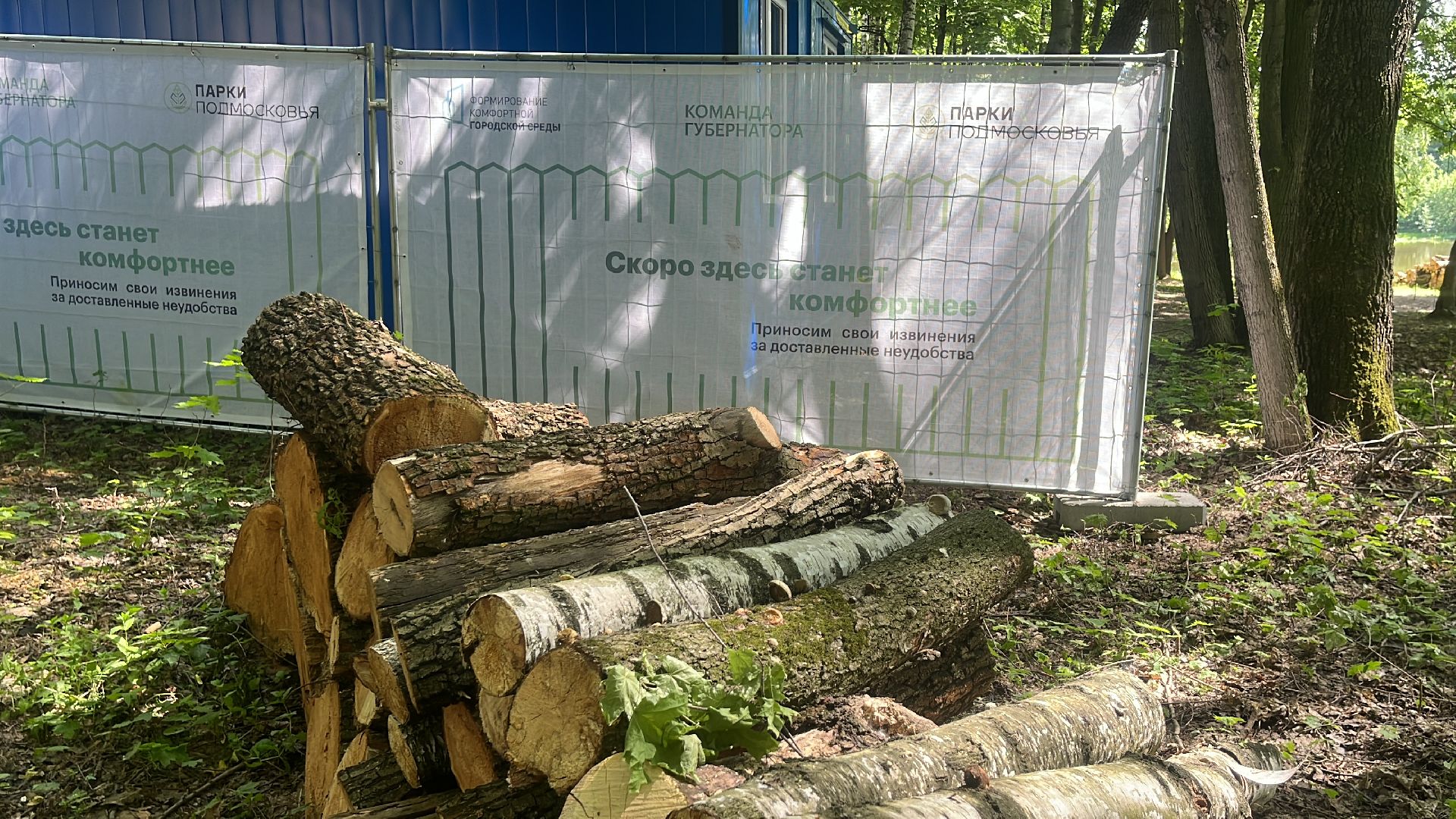 благоустройство, пруд, набережная, лесопарк, кучинский лесопарк,