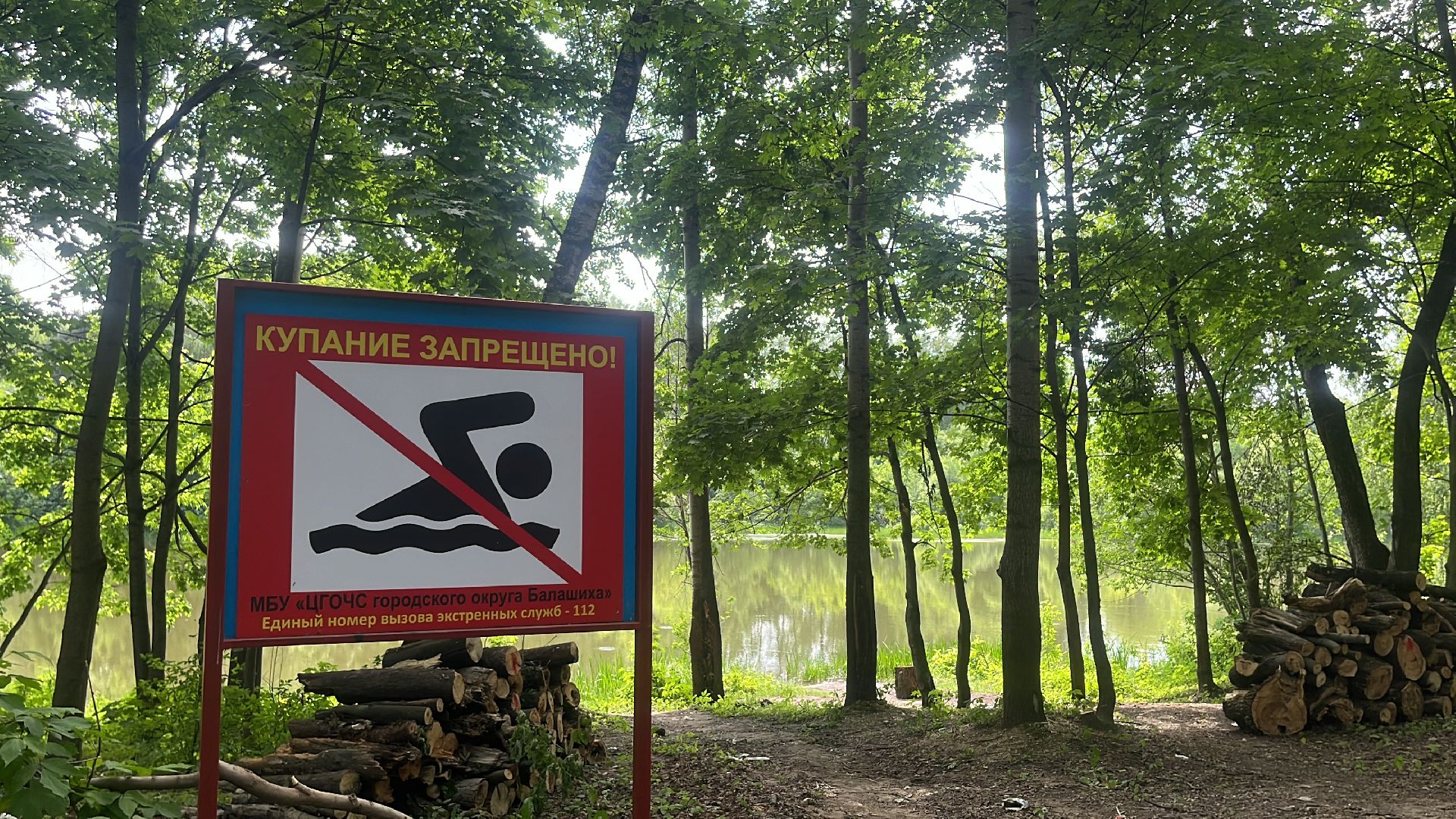 благоустройство, пруд, набережная, лесопарк, кучинский лесопарк,