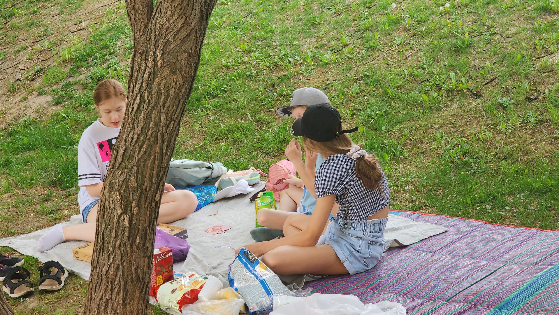 долгопрудный, благоустровйство, покос травы, покраска детских площадок, покраска перил,