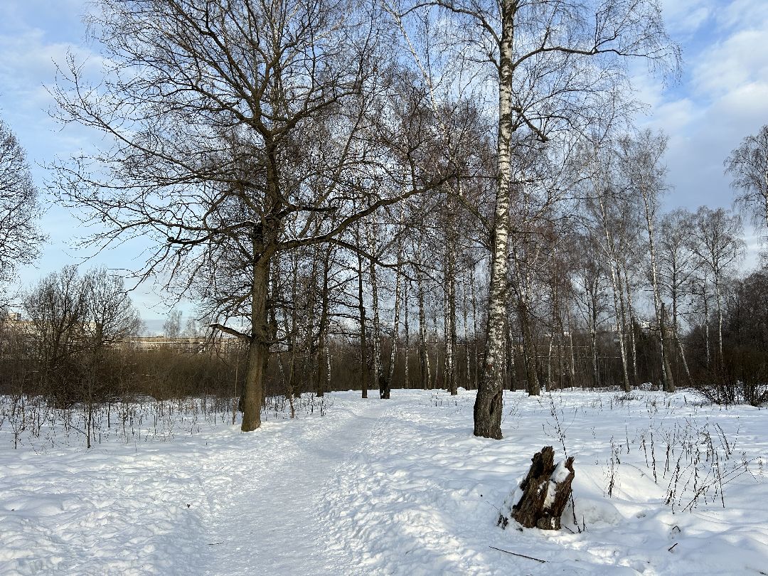 Фрязино, благоустройство