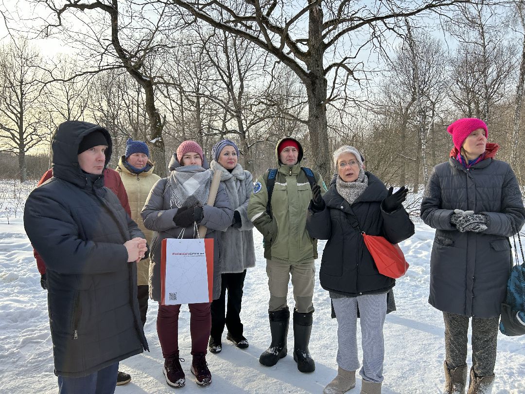 Фрязино, благоустройство