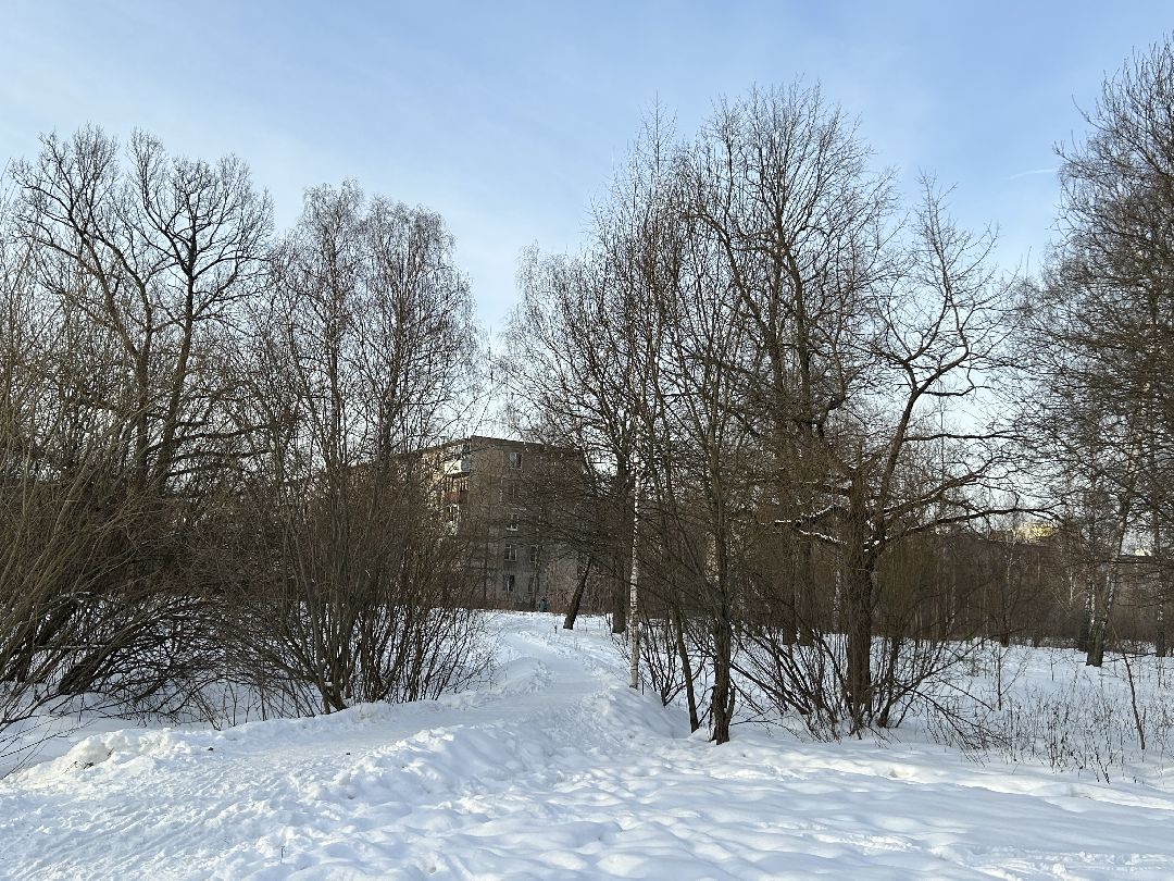 Фрязино, благоустройство