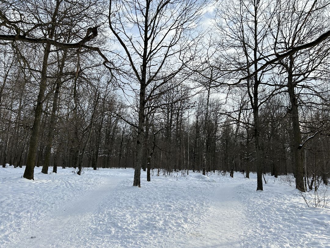 Фрязино, благоустройство