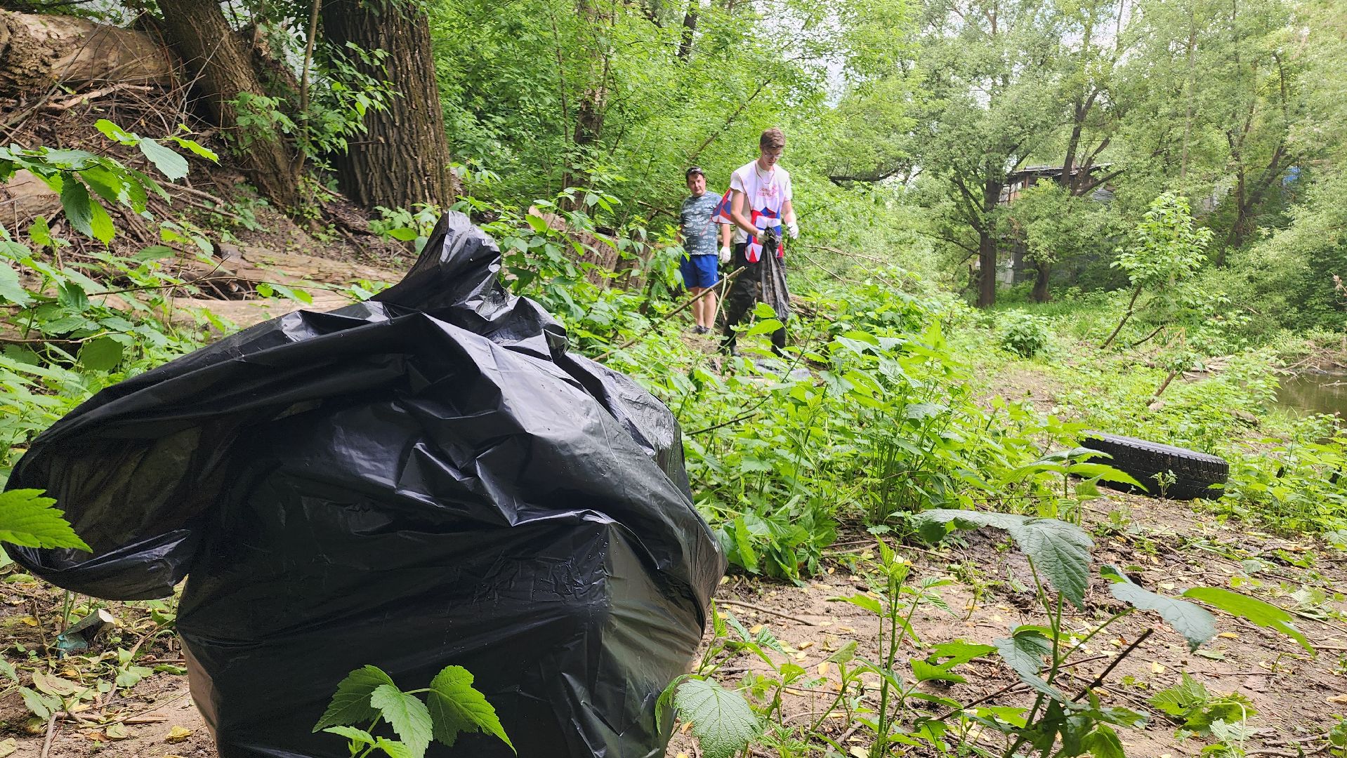 Домодедово, Подмосковье, Экология, Окружающая среда, Очистка берега,