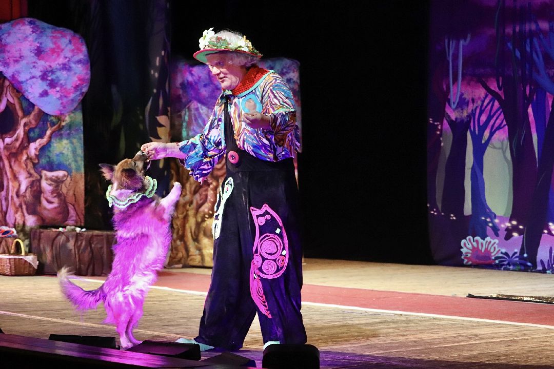 Фрязино, общество