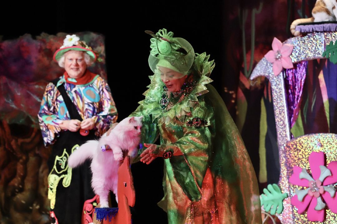 Фрязино, общество