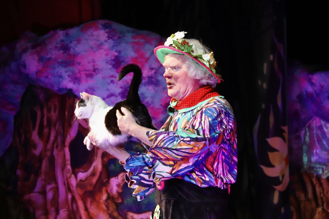 Фрязино, общество