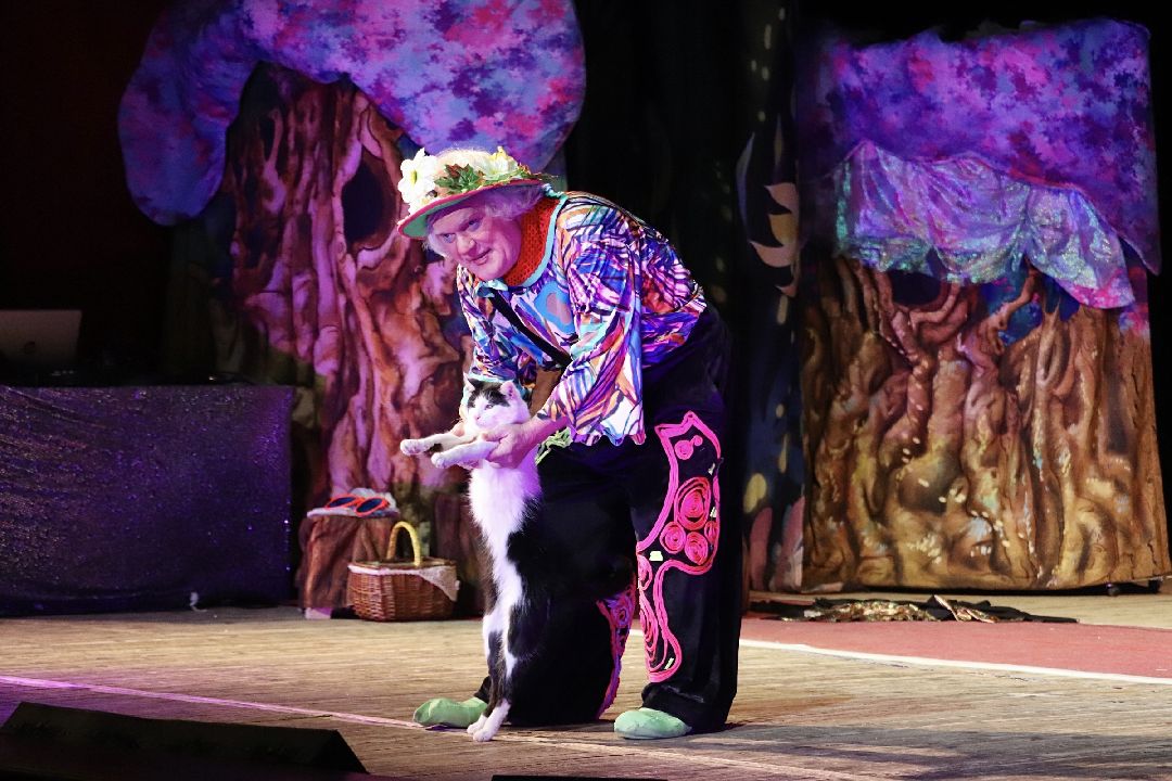 Фрязино, общество