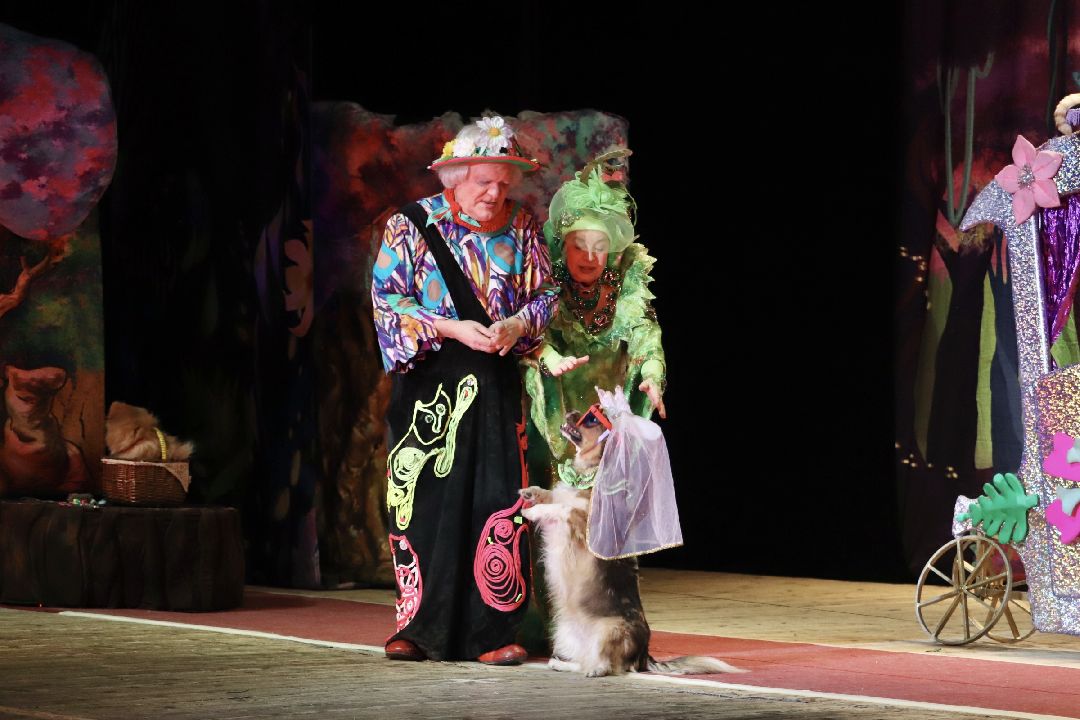 Фрязино, общество