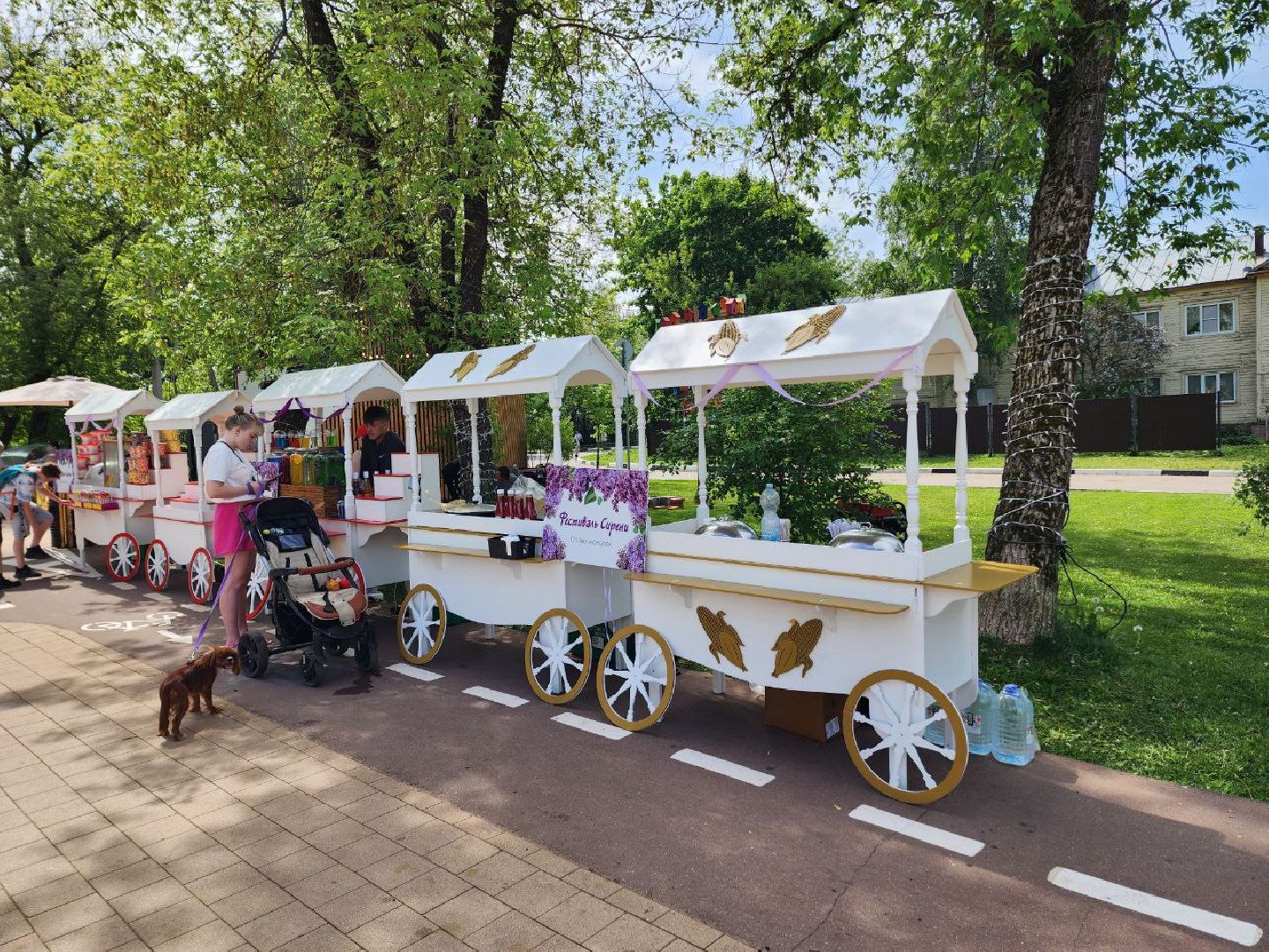 солнечногорск, сирень, Фестиваль сирени, Праздник, Жители,