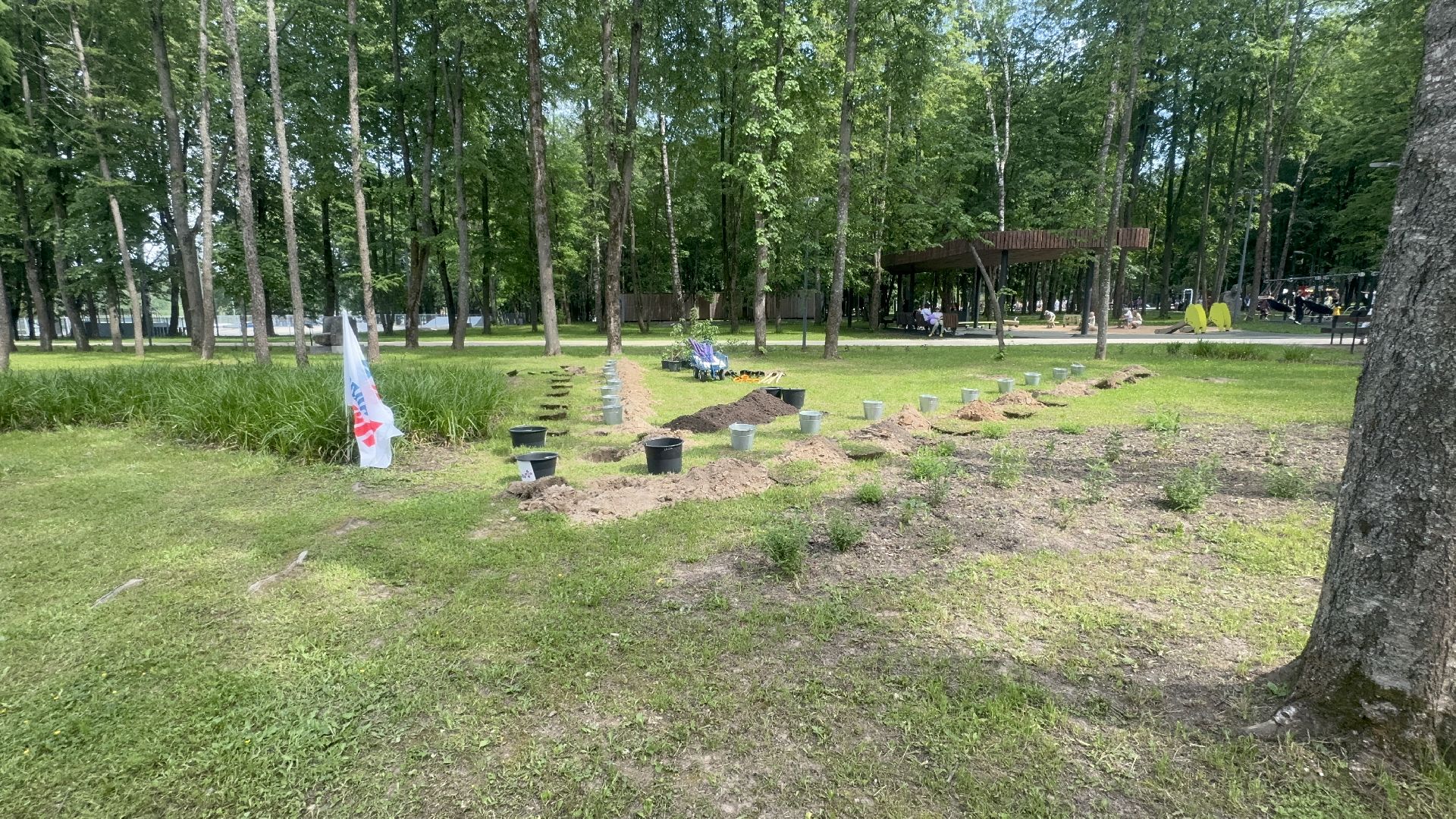 Солнечногорск, Фестиваль сирени, Высадка сирени, Мария Захарова, Праздник,