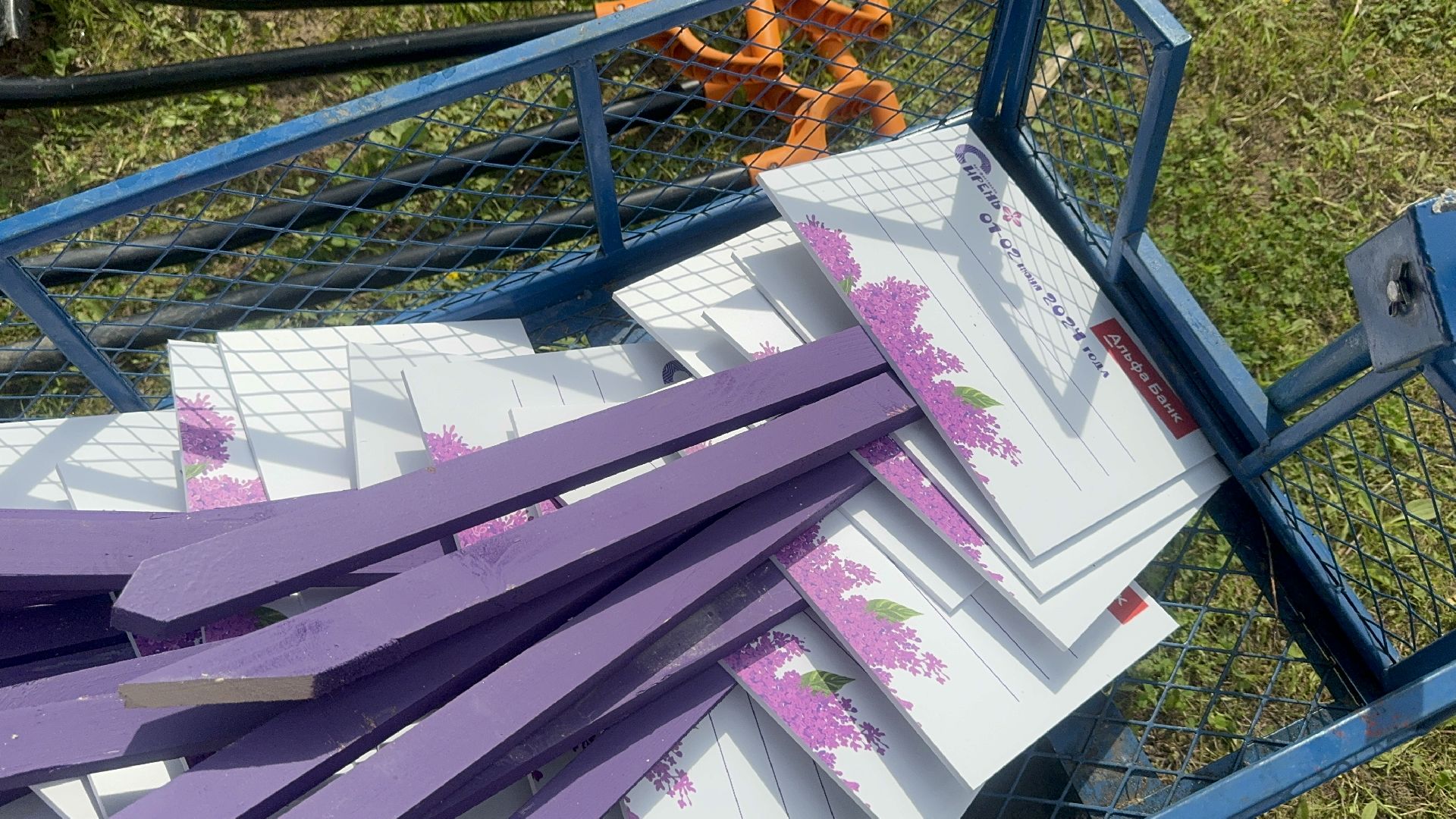 Солнечногорск, Фестиваль сирени, Высадка сирени, Мария Захарова, Праздник,