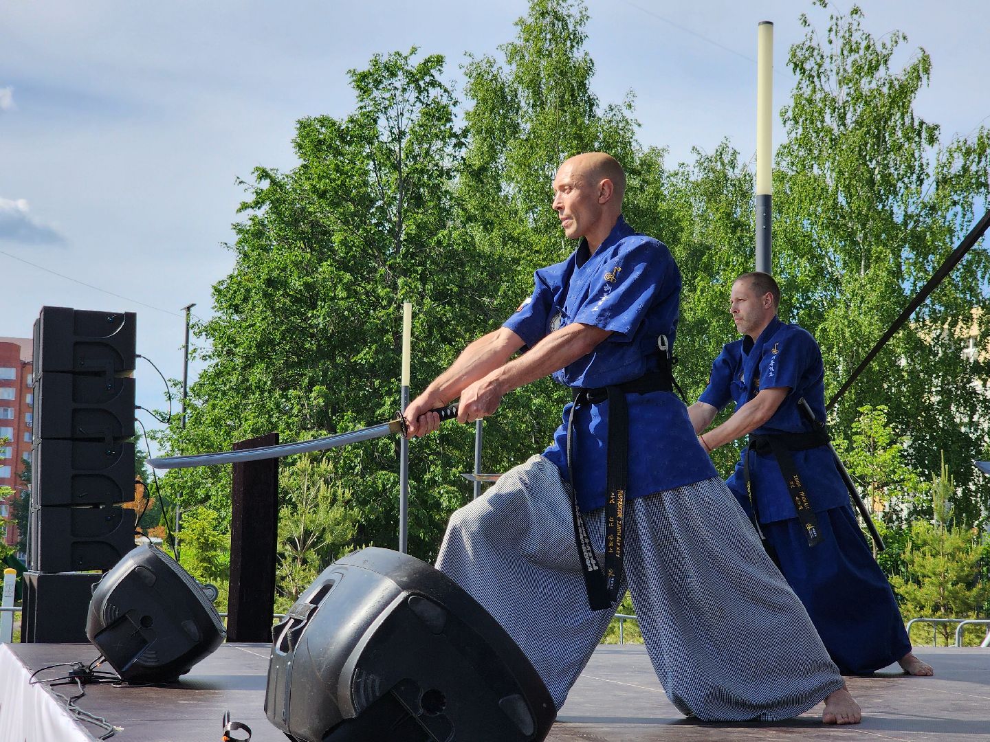 Черноголовка,