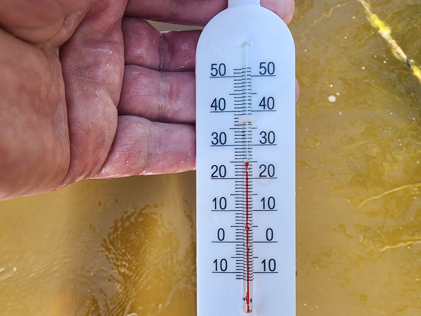 шатура, пляж, озеро Святое, отдых на природе, отдых у воды, отдых на озеро, пляжный отдых, пляжный сезон,