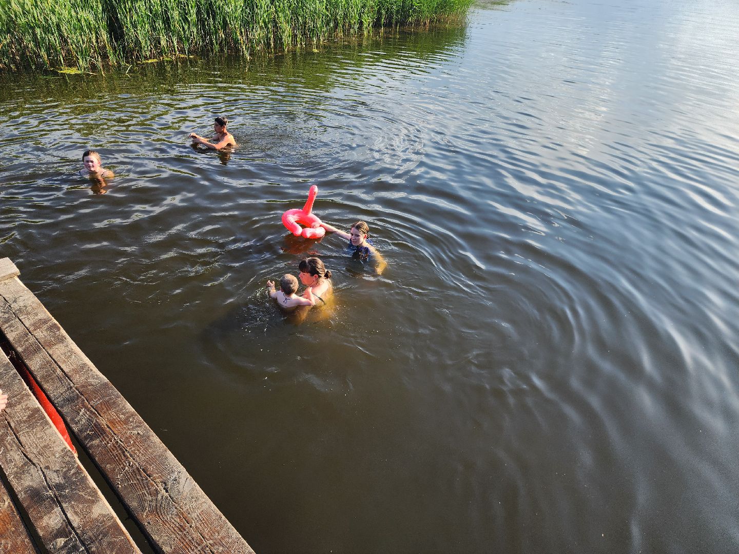 шатура, пляж, озеро Святое, отдых на природе, отдых у воды, отдых на озеро, пляжный отдых, пляжный сезон,