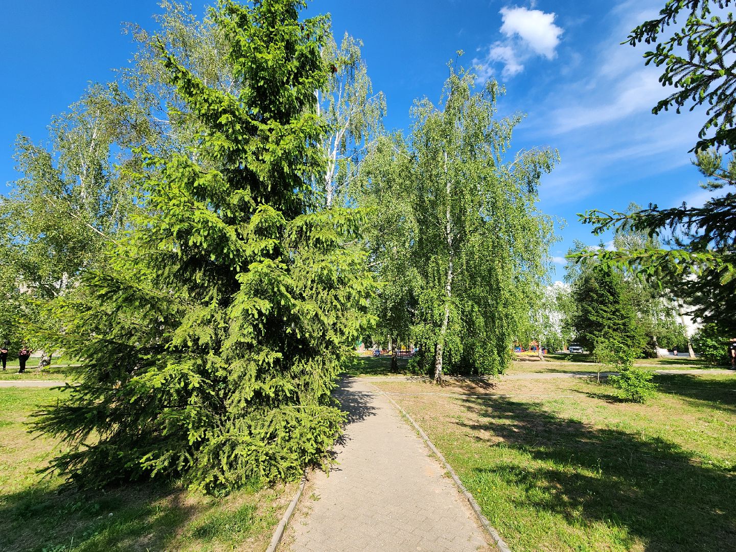 сквер, сквер Солнышко, колюбакино, благоустройство, реконструкция сквера, руза, рузский городской округ,