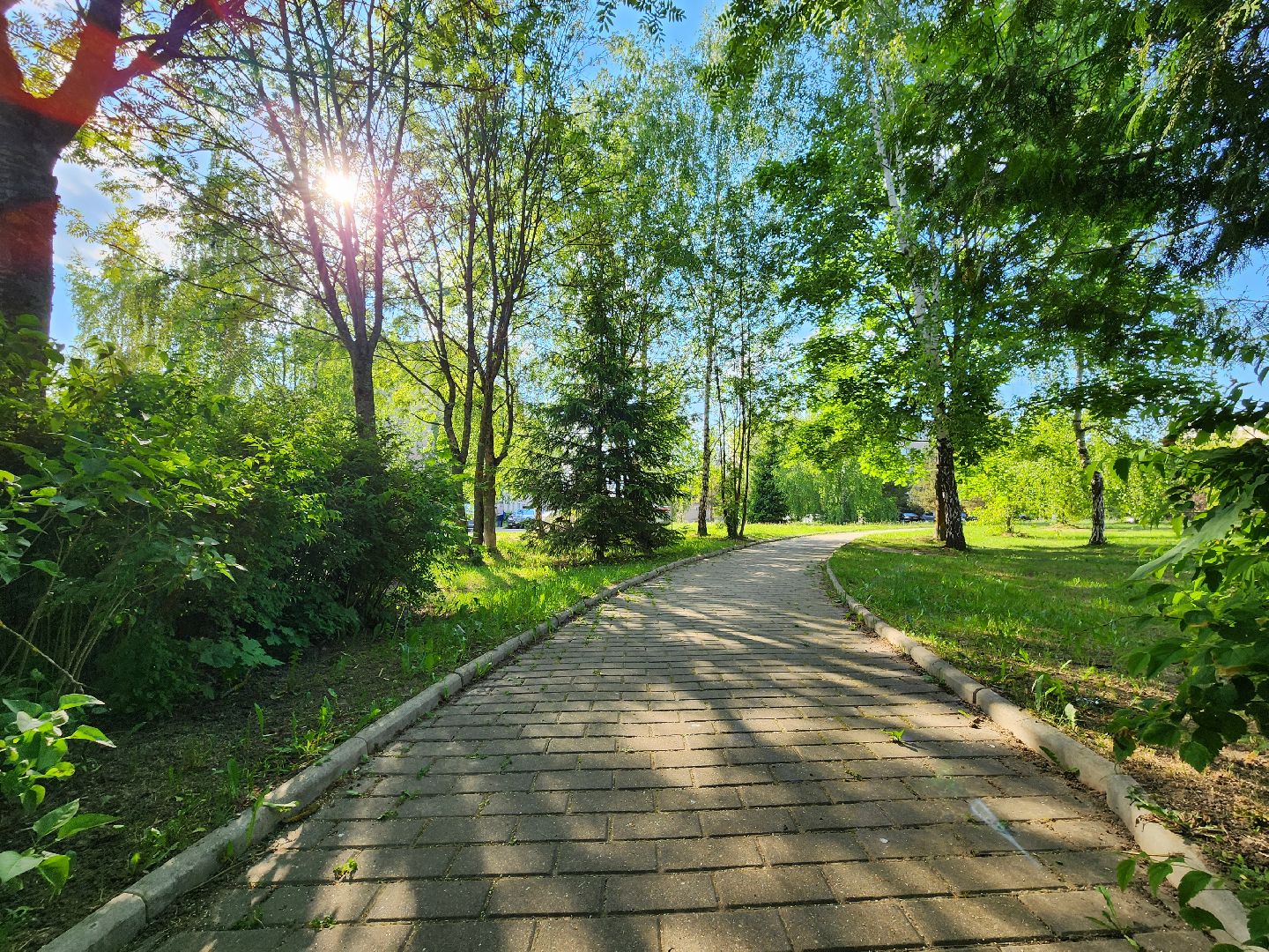 сквер, сквер Солнышко, колюбакино, благоустройство, реконструкция сквера, руза, рузский городской округ,