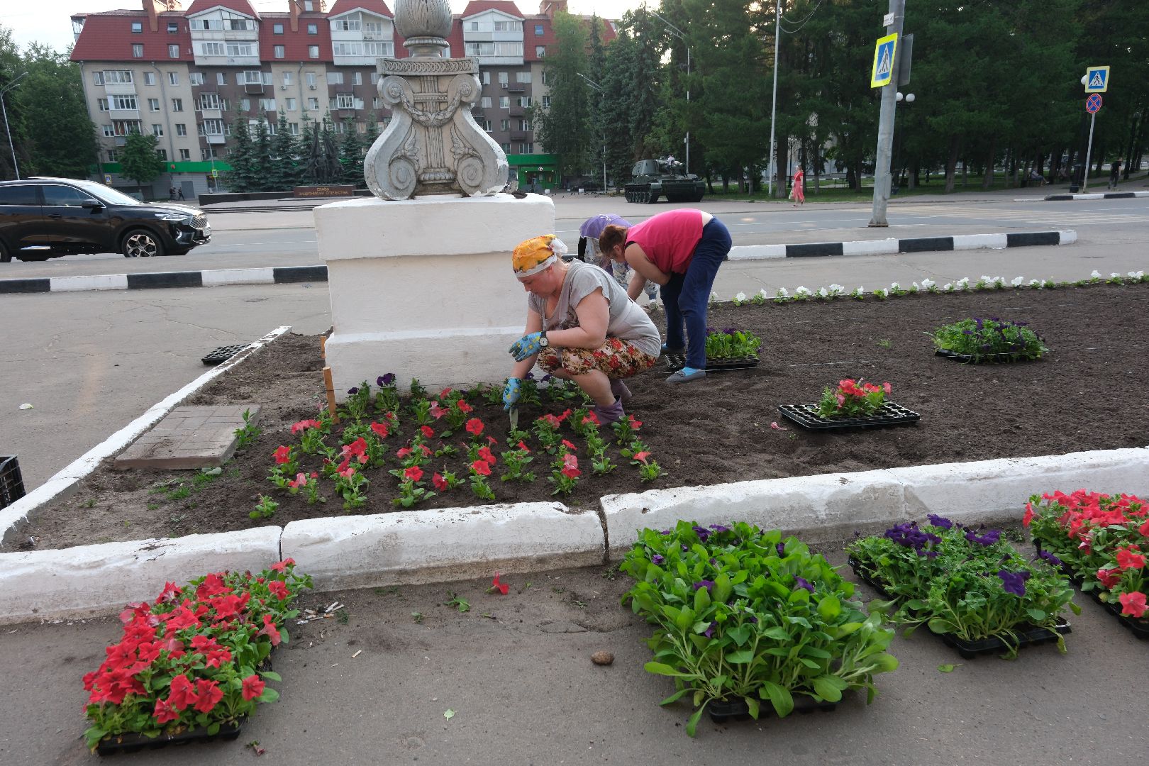 лыткарино, цветы, высадка, жкх,