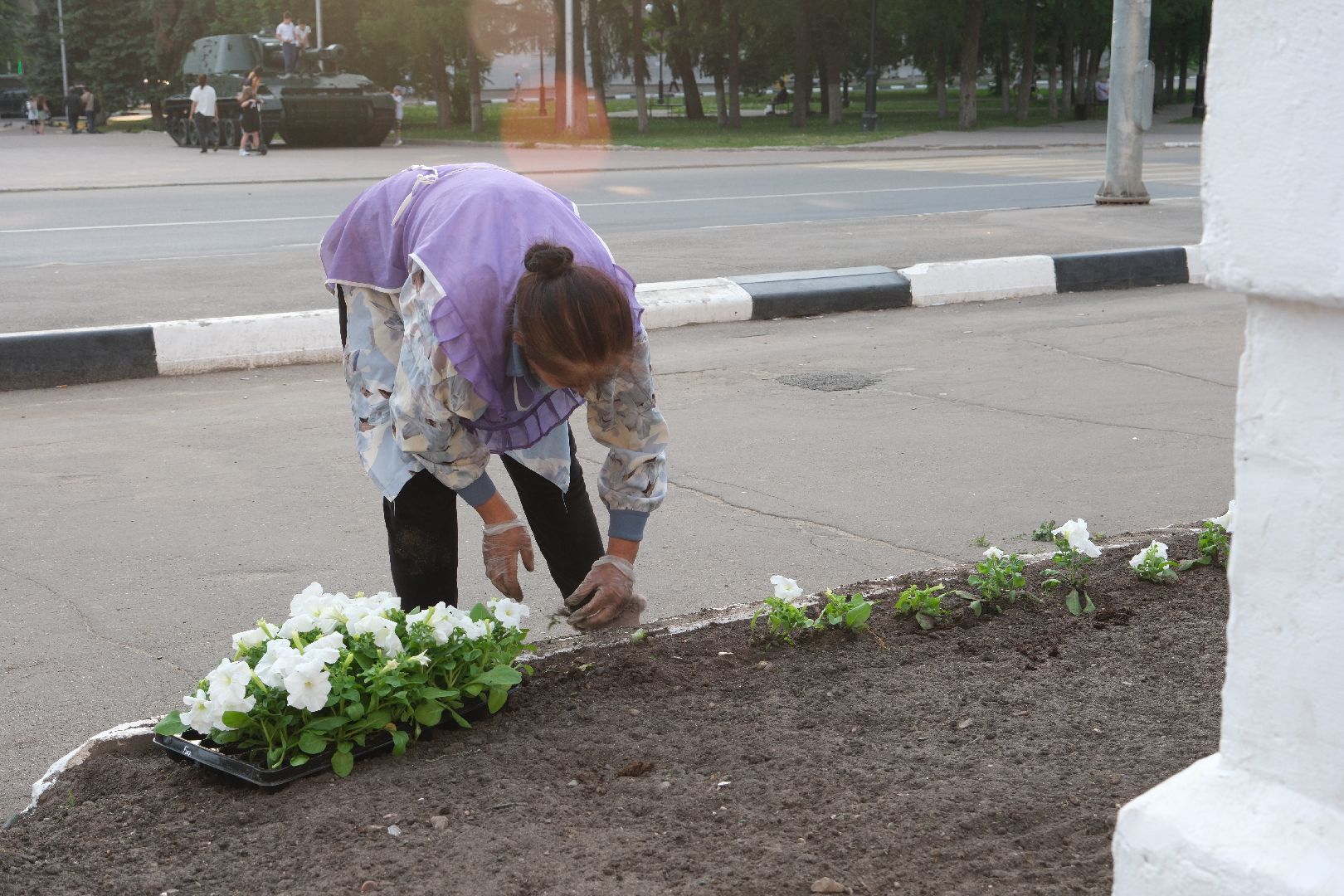 лыткарино, цветы, высадка, жкх,