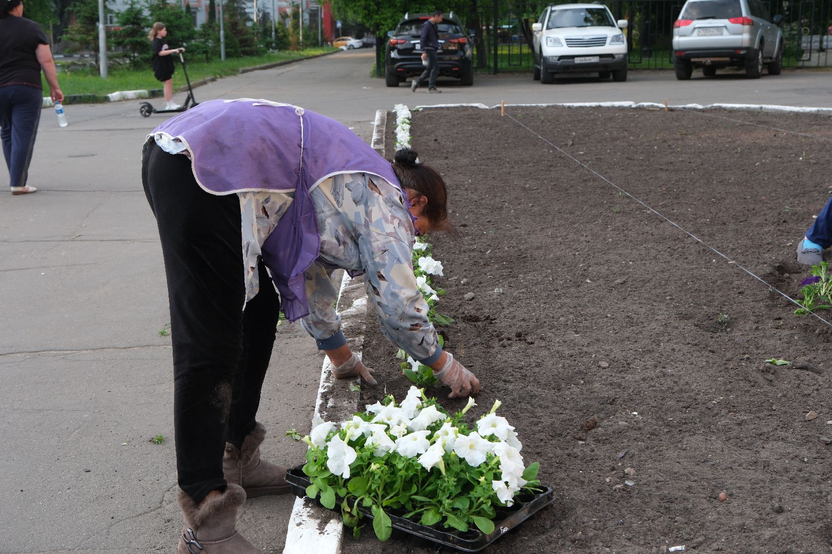 лыткарино, цветы, высадка, жкх,