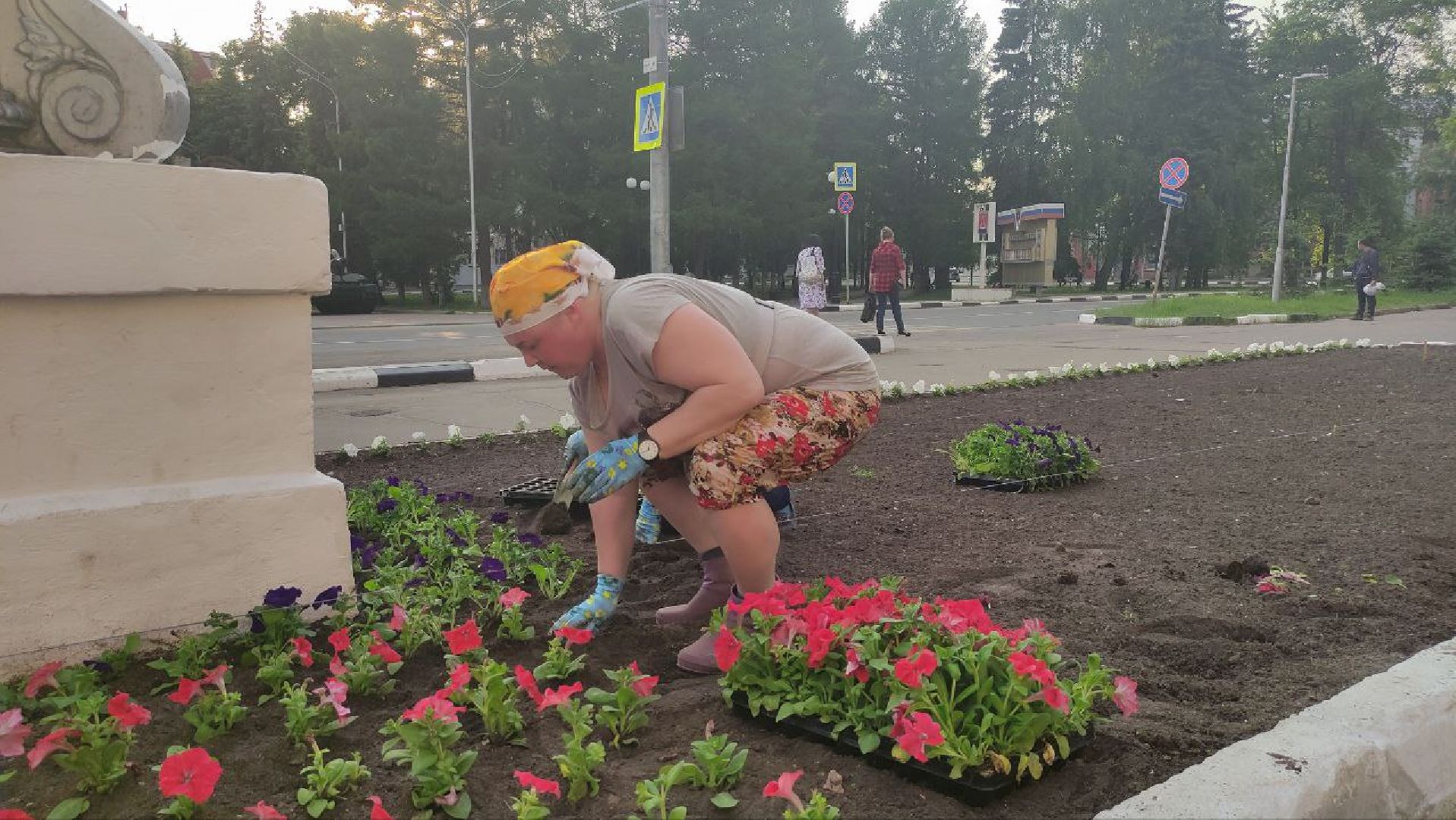 лыткарино, цветы, высадка, жкх,