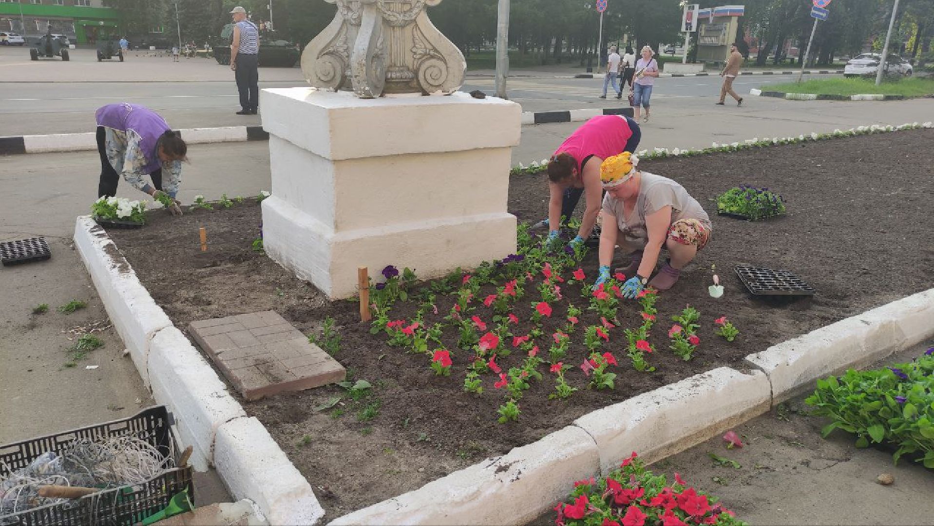лыткарино, цветы, высадка, жкх,