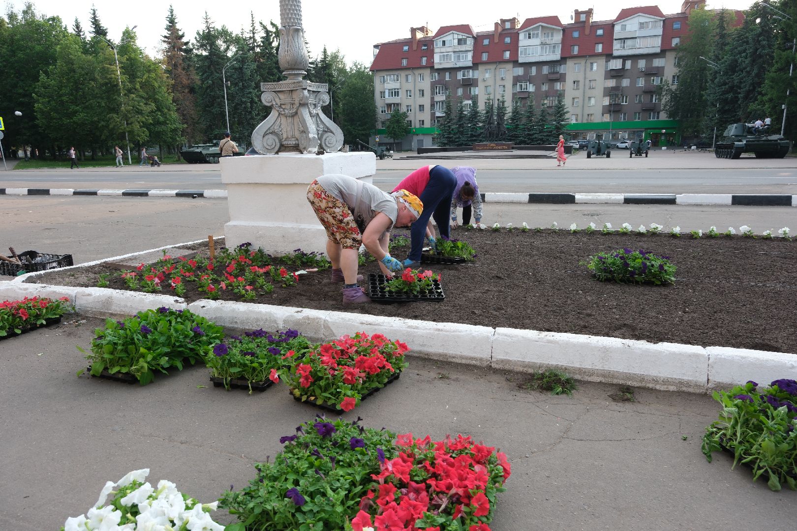 лыткарино, цветы, высадка, жкх,