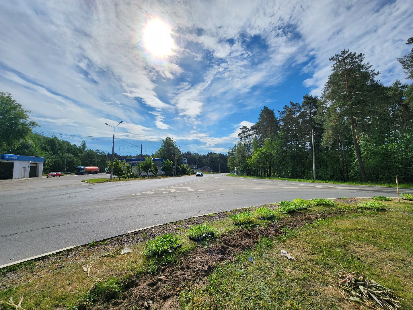 Цветы, Благоустройство, Клумбы, Протвино, Сезонное благоустройство,