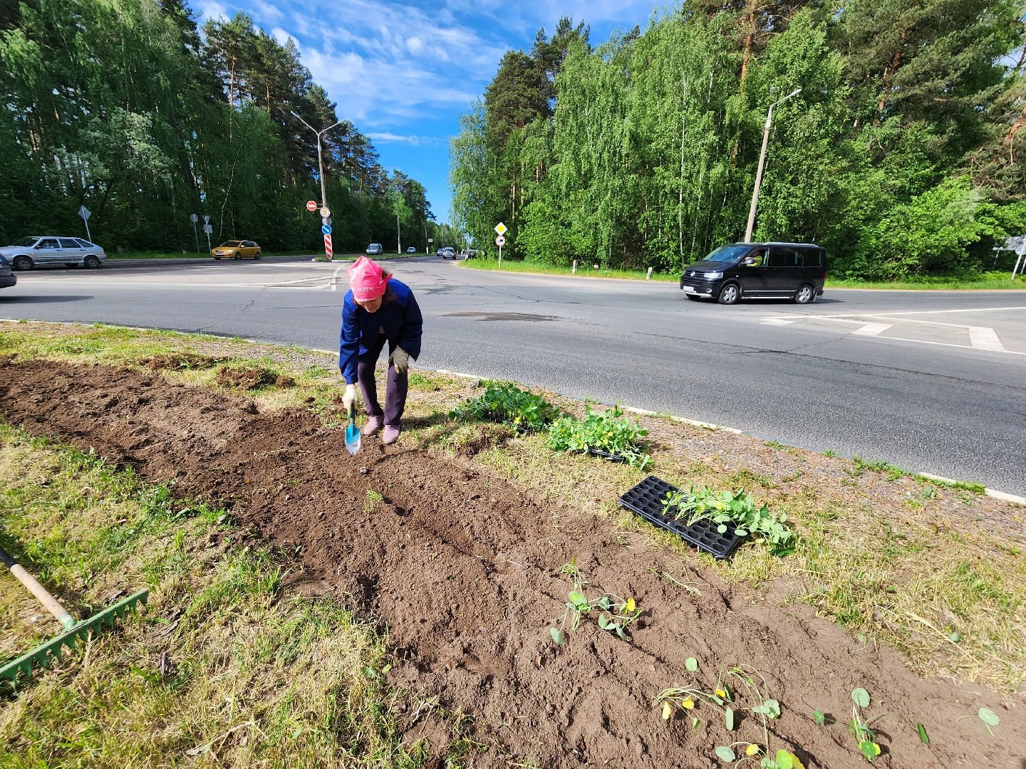 Цветы, Благоустройство, Клумбы, Протвино, Сезонное благоустройство,